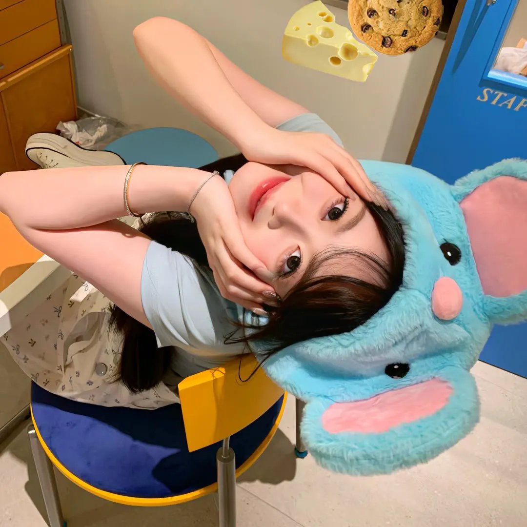 睡觉的笨蛋